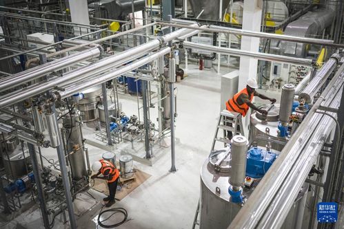 共話中國(guó)經(jīng)濟(jì)新機(jī)遇 中企助力西非可可王國(guó)產(chǎn)業(yè)升級(jí)